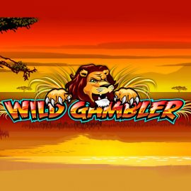 Wild Gambler