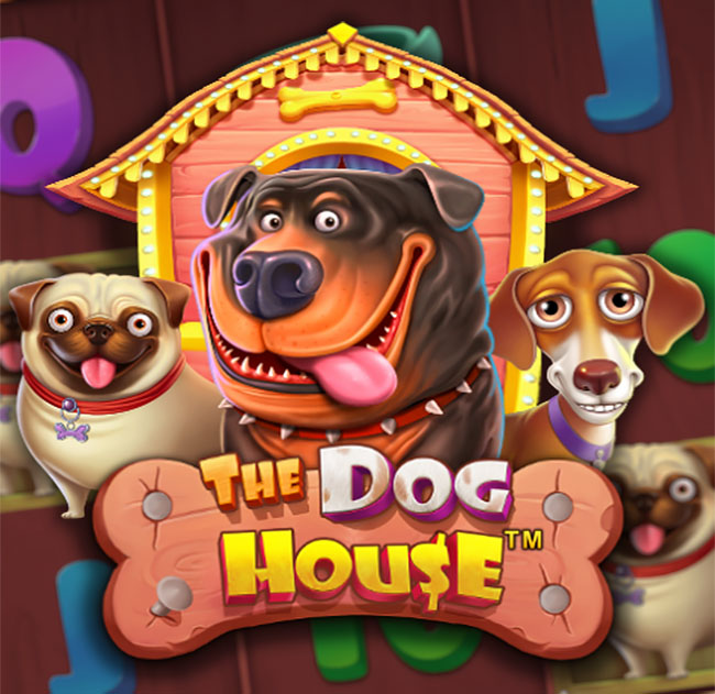 The Dog House automat do gry online za darmo bez rejestracji Play