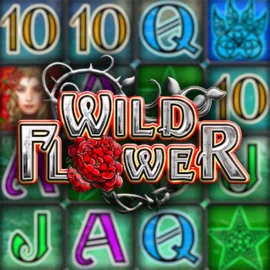 Wild Flower