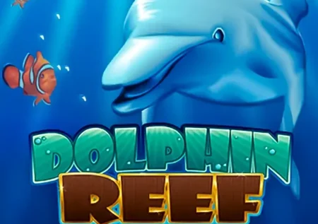 Dolphin Reef