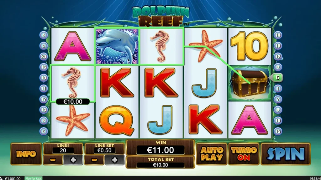 Dolphin Reef Symbole Specjalne