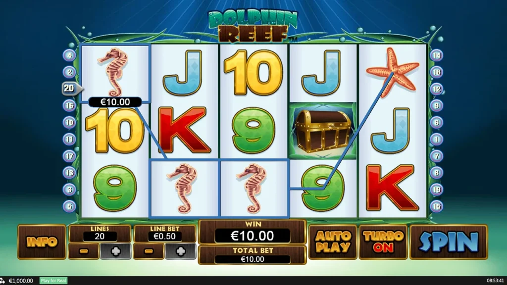 Dolphin Reef Wygrana